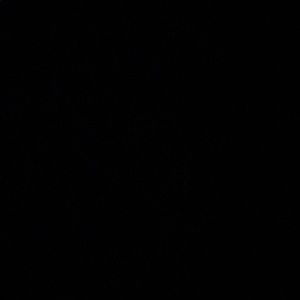 Meet your Posher, Mayce